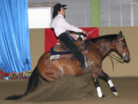 Sir Whiz N Nic & 栗田 竜太郎