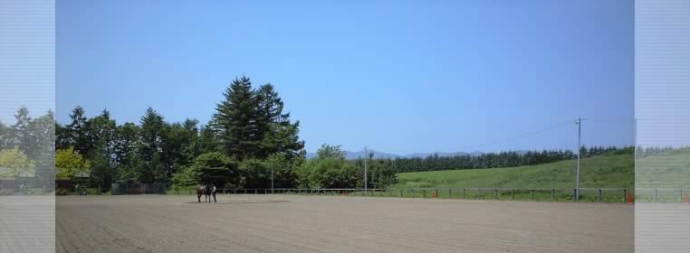 【帯広乗馬.com】ランチサンウエスト